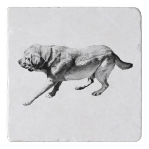 Side-Step Trivet