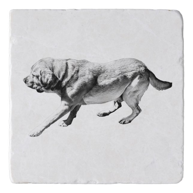 Side-Step Trivet (Front)