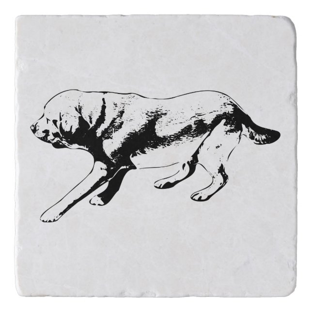 Side-Step Trivet (Front)