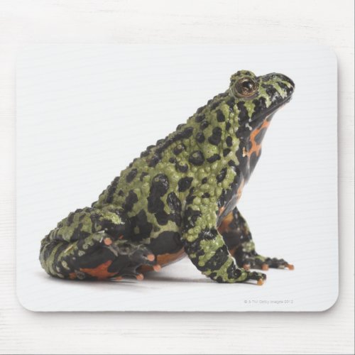 Side View of an Oriental Fire Bellied Toad Mouse Pad