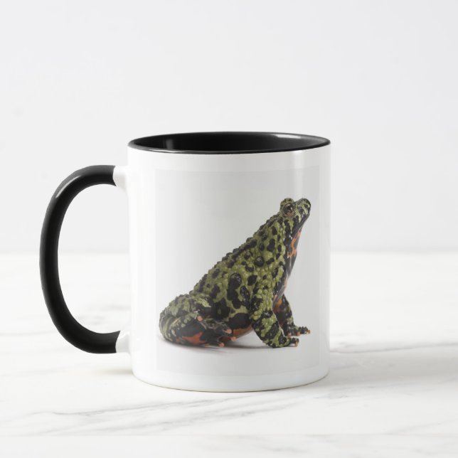 Side View of an Oriental Fire Bellied Toad Mug (Left)