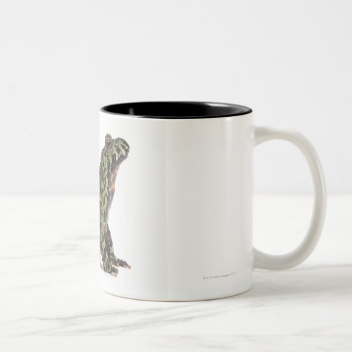 Side View of an Oriental Fire Bellied Toad Two_Tone Coffee Mug