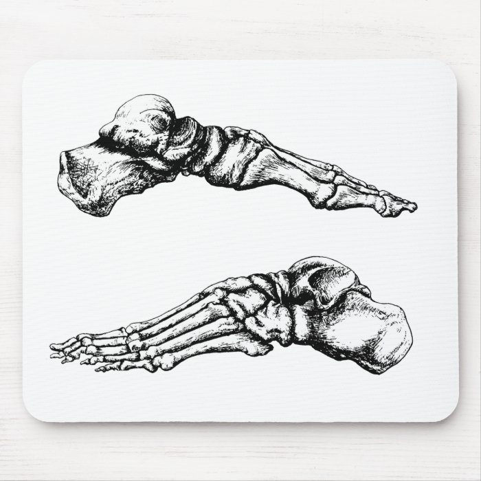 Side view of bones of the feet mousepads