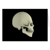 Side View Of Human Skull (Front Horizontal)