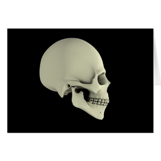 Side View Of Human Skull Cards (Front Horizontal)