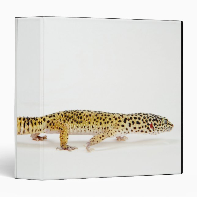 Side view of leopard gecko lizard 3 ring binder (Front/Spine)