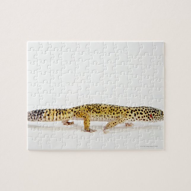 Side view of leopard gecko lizard jigsaw puzzle (Horizontal)