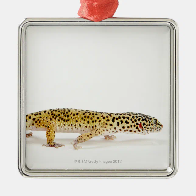 Side view of leopard gecko lizard metal ornament | Zazzle