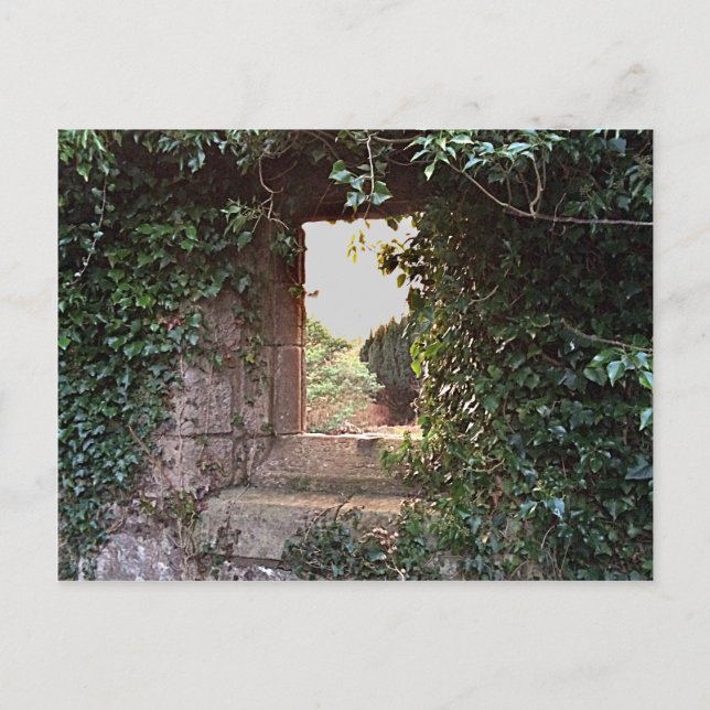 Side Window at West Kirk Culross Postcard (Front)