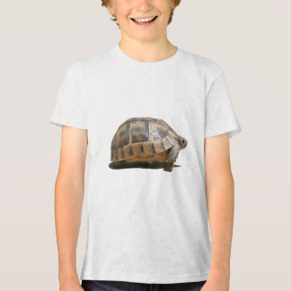 Sideview of A Walking Turkish Tortoise Tri-Blend Shirt