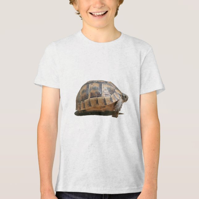 Sideview of A Walking Turkish Tortoise Tri-Blend Shirt (Front)