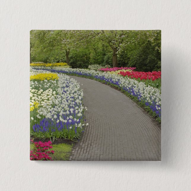 Sidewalk pathway through tulips and daffodils, 2 button (Front)
