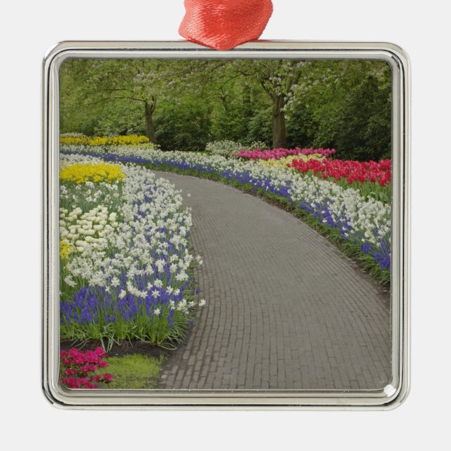 Sidewalk pathway through tulips and daffodils, 2 metal ornament (Front)