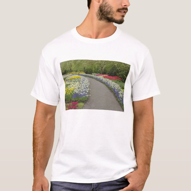 Sidewalk pathway through tulips and daffodils, 2 T-Shirt (Front)
