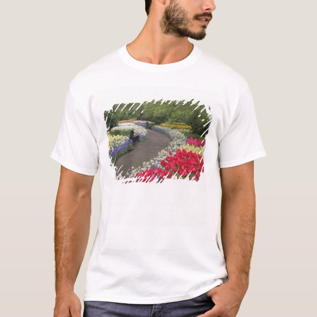Sidewalk through tulips, daffodils, and T-Shirt (Front)