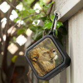 Sideway Lion Photo  Bluetooth Speaker (Inisitu)