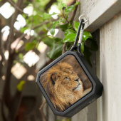 Sideway Lion Photo Image Bluetooth Speaker (Inisitu)