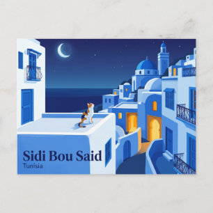 Sidi Bou Said Tunisia Postcard