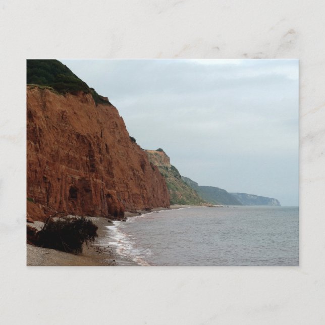 Sidmouth ocean cliffs and coast photo postcard (Front)