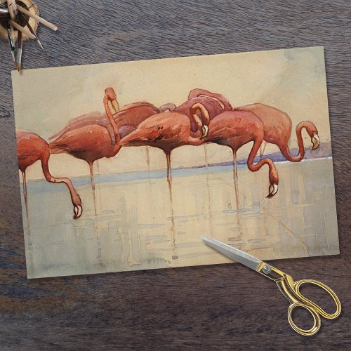Sidney Longs Flamingos 1917 Tissue Paper