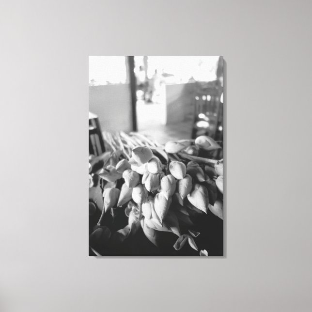 Siem Reap Cambodia, Lotus Flowers Canvas Print (Front)