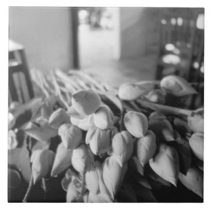 Siem Reap Cambodia, Lotus Flowers Tile