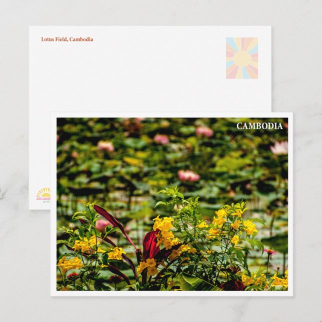 Siem Reap Lotus Field Cambodia Postcard (Front/Back)