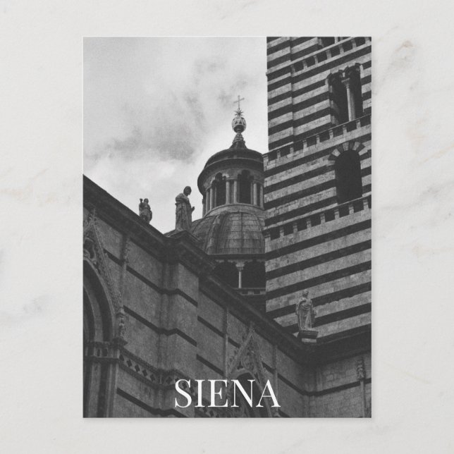 Siena Cathedral Italy Dome BW Postcard (Front)
