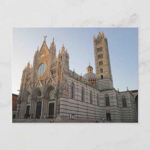 Siena Duomo Postcard