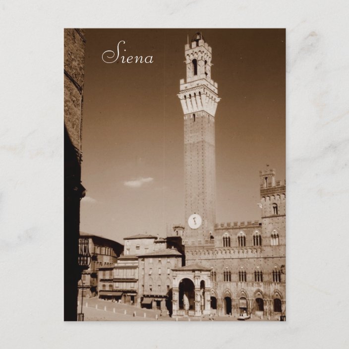 Siena Postcard | Zazzle.com