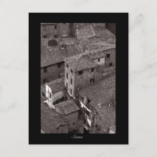 Siena Rooftops   Postcard