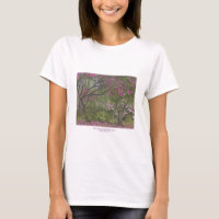 Sierra Azul Nursery & Garden