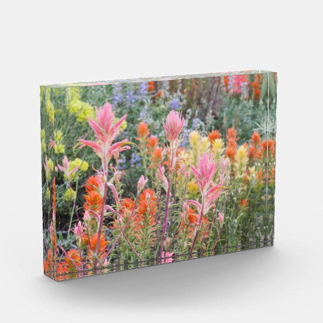 Sierra Buttermilk Wildflowers Photo Block (Left)