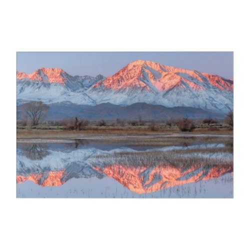 Sierra Crest reflects in Farmers Pond Acrylic Print