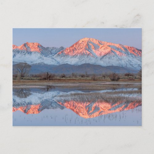 Sierra Crest reflects in Farmers Pond Postcard