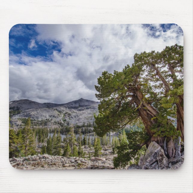 Sierra Juniper and Evergreen Trees Mouse Pad (Front)