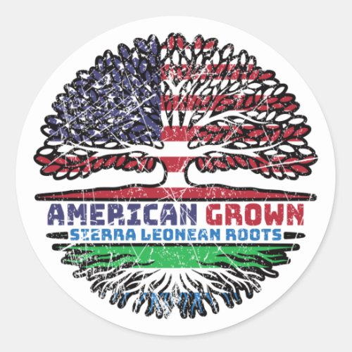 Sierra Leone Leonean US American USA United States Classic Round Sticker