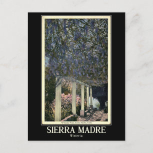Sierra Madre, California, Vintage Postcard