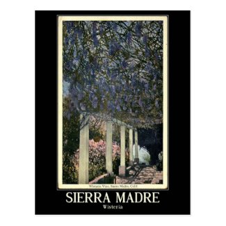 Sierra Madre, California, Vintage Postcard