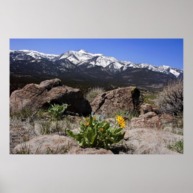 Sierra Mountain View Poster (Front)