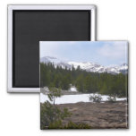 Sierra Nevada Mountains and Snow at Yosemite Magnet