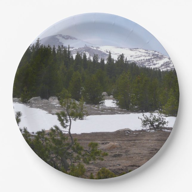 Sierra Nevada Mountains and Snow at Yosemite Paper Plates (Front)