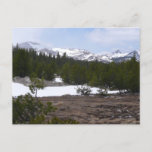 Sierra Nevada Mountains and Snow at Yosemite Postcard