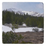 Sierra Nevada Mountains and Snow at Yosemite Trivet
