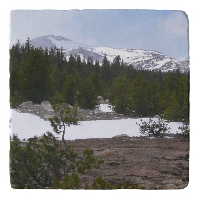 Sierra Nevada Mountains and Snow at Yosemite Trivet (Front)
