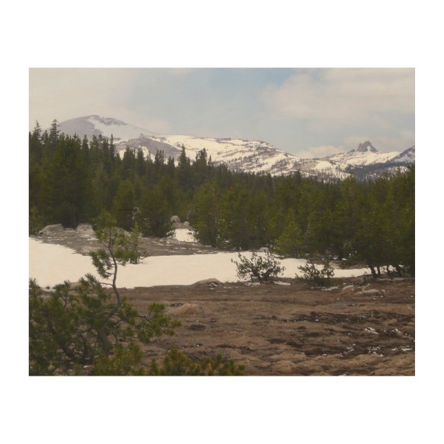Sierra Nevada Mountains and Snow at Yosemite Wood Wall Decor (Front)