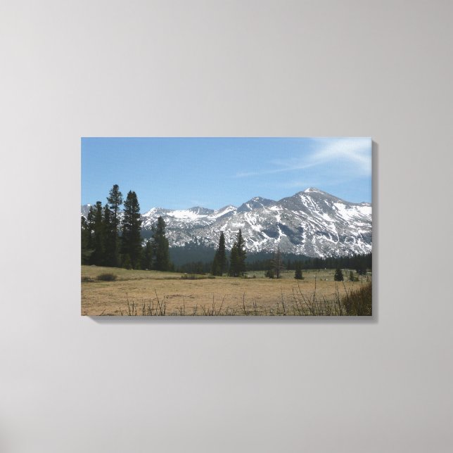 Sierra Nevada Mountains I from Yosemite Canvas Print (Front)