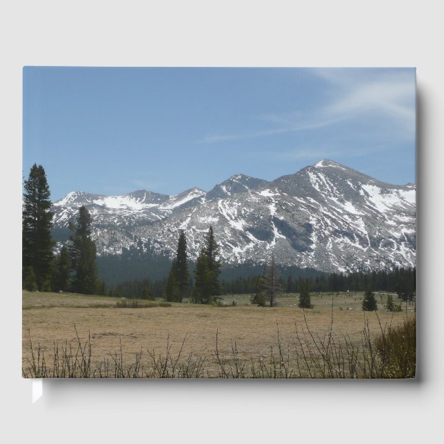 Sierra Nevada Mountains I from Yosemite Guest Book (Front)