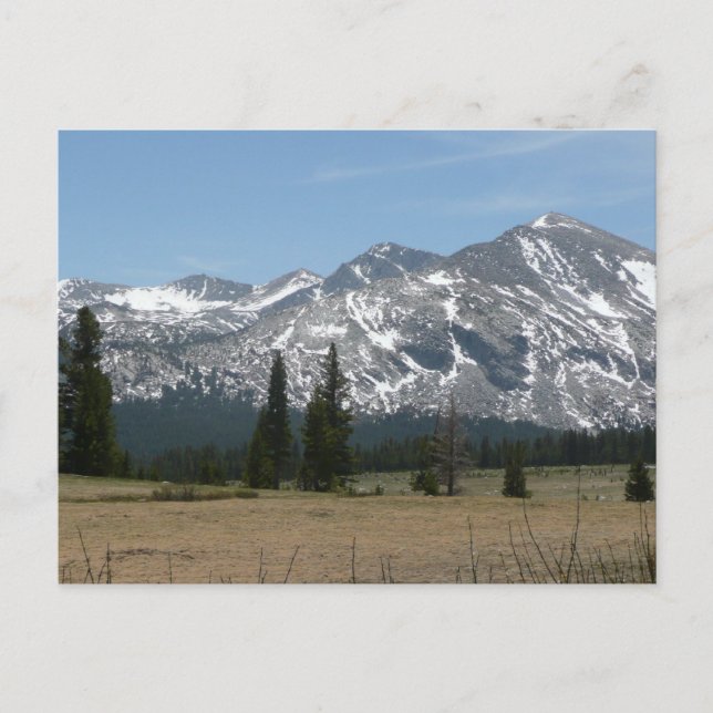 Sierra Nevada Mountains I from Yosemite Postcard (Front)