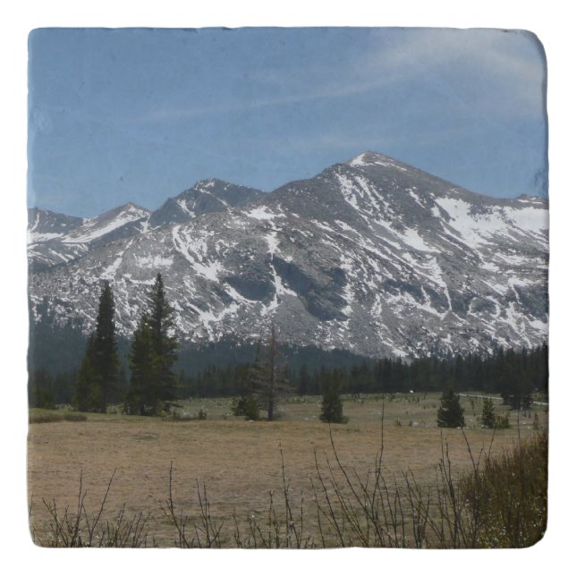 Sierra Nevada Mountains I from Yosemite Trivet (Front)